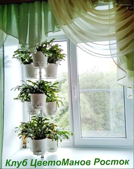 распорка для крупных растений на окно. Фото N6